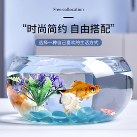 创意水族箱生态圆形玻璃金鱼缸(金鱼缸)大号，乌龟缸迷你小型造景水培花瓶