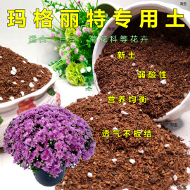 玛格丽特专用土王妃藤本月季花苗盆栽菊花通用型营养土花卉有机土