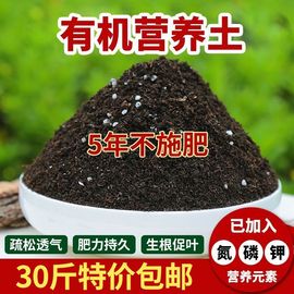 种花种菜土养花营养土通用型盆栽专用土瓜果土辣椒茄子西红柿泥土