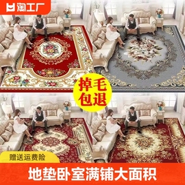 地毯客厅欧式沙发茶几，毯现代轻奢北欧家用地垫，卧室满铺大面积定制
