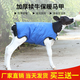 牛犊马甲小牛加厚防寒马甲牛犊子保暖防水棉衣养牛场犊牛保温衣服