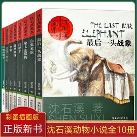 沈石溪动物小说画本全10册第七条猎狗Z后一头战象白象家族红奶羊情豹布哈依藏獒渡魂棕熊的故事小学生三四五六年级沈石溪插画版