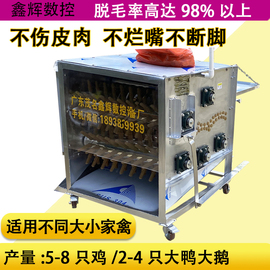 五轴小型家禽脱毛机鸡鸭鹅鸽子乳鸽拔毛机商用不锈钢三鸟去毛机