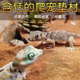 新派reptizoo爬虫沙爬宠沙爬沙钙沙守宫沙垫材，蜥蜴饲养箱专用沙龟