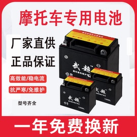 摩托车电瓶12v通用免维护9a助力车125踏板车7a弯梁车干电瓶蓄电池