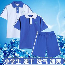 深圳校服裤子中小学生速干校服统一夏装，运动校裤男女夏季短袖短裤