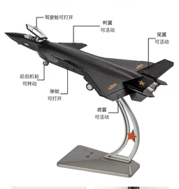 长空之王雷宇歼20飞机模型，隐形战斗机172j20合金仿真成品航模型