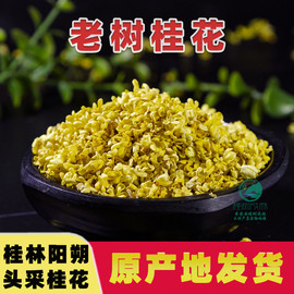 老树脱水桂林金桂花茶泡水干桂花食用糕点搭配乌龙茶玫瑰茉莉花茶