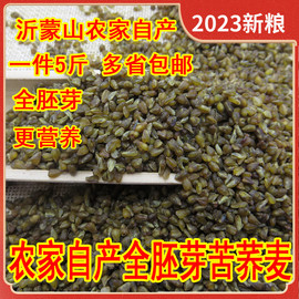 5斤农家自产全胚芽生苦荞麦，无添加去壳黑苦荞，米散装天然粗粮乔米