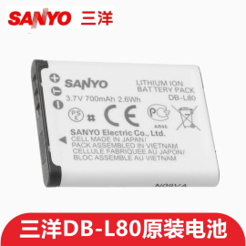 Sanyo三洋DB-L80 DBL80数码摄像机电池DMC-CG10 GH3充电器