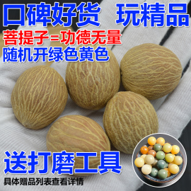 菩提子原籽白玉菩提根原料手串链斤个大散珠高密戒指108颗绕指柔