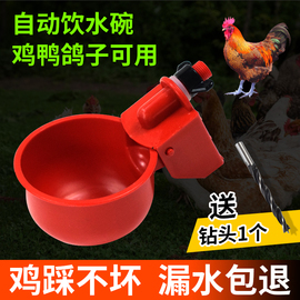 小鸡喝水自动饮水器喂水器鸡，用水碗喝水器家禽用养殖鸭鹅鸽子神器