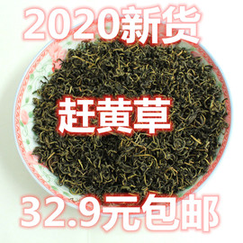 四川泸州古蔺2022年  新货 赶黄草 赶黄草花 古蔺 赶黄草