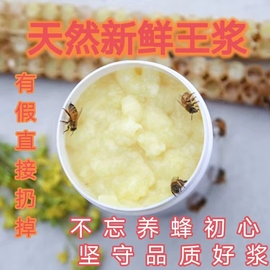 头茬蜂王浆蜂农现取新鲜自产蜂皇浆500g 油菜蜂王浆