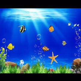 鱼缸背景贴纸高清图3d立体背景画水族箱，壁纸海底世界造景自粘画