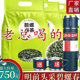 新茶浓香型碧螺春750克3袋装绿茶散装云雾绿茶