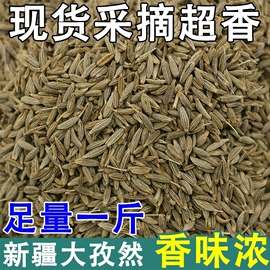 新疆特产孜然粒500g烧烤烤肉调料羊肉，调味撒料腌料香料可磨粉小茴