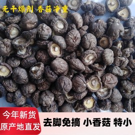 小香菇干货500g特小珍珠菇干香菇商用香菇干纽扣菇香菇丁小金钱菇