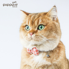 Puppytie猫咪用品猫铃铛项圈脖圈宠物颈圈脖子猫颈饰品可爱蝴蝶结