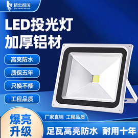 led投光灯户外防水景观庭院照明超亮工厂车间探照投射广告灯彩色