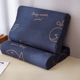 乳胶枕套记忆专用枕头套儿童，40cmx60cm单个30x50家用一对装2枕芯