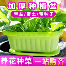 阳台蔬菜盆草莓韭菜番茄种植土培套餐家庭花盆塑料土培方形种菜盆