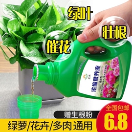 营养液植物通用型花肥家用盆栽发财树富贵竹绿萝水培花卉绿植肥料