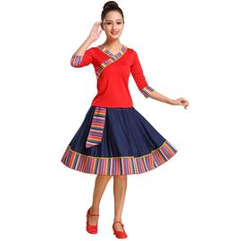 藏族舞蹈演出服装女成人广场舞服装套装民族风短裙子分体两件