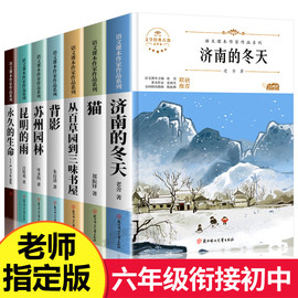 六年级必读课外书下册暑假老师小升初课外阅读书籍 适合小学升七年级初一看的读物 初中生上册 初中经典书目