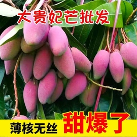 海南贵妃芒果当季新鲜孕妇水果5斤现摘新鲜甜芒果树上熟整箱