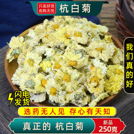 杭白菊菊花茶250克杭白菊花，桐乡正宗杭菊杭州贡菊胎菊