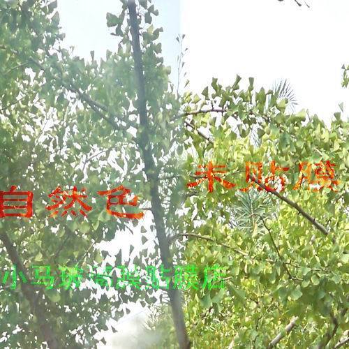 高透光博納光學膜,家居窗戶玻璃貼膜隔熱膜防爆膜安全膜建筑膜