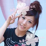 Extension cheveux - Chignon - Ref 238575 Image 11