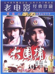 正版大围捕主演：王润身毕夫迟志强 1DVD