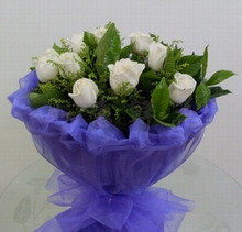 白玫瑰19朵上海爱情祝福鲜花速递
