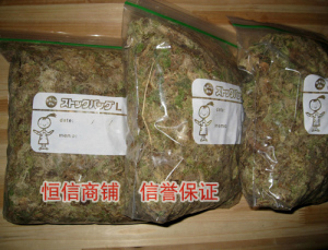 高质量/爬虫垫材干苔藓水苔黄缘树皮游蛇陆龟/不缺秤180克6L4送1
