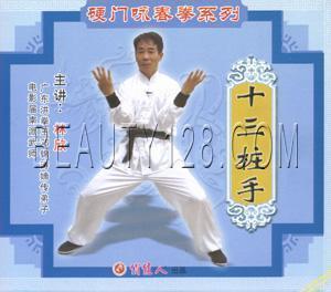 1VCD 正版 盒装 十三桩手 主讲：林欣 硬门咏春拳系列