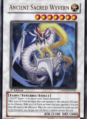 游戏王 美版 正版 - 古代圣翼龙 Sacred Wyvern/金闪/ANPR