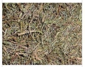 中药材中草药*珍珠草  500克