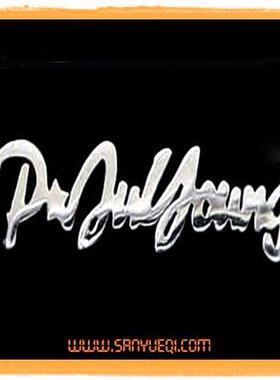 情人节定制W&L韩国进口订做925纯银名字项链