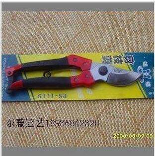 花卉园艺专用工具用品售 花剪 剪枝剪 小花剪刀 树剪