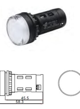 AD11-22/21-TS 100%实物拍摄 江阴长江电器 原装正品