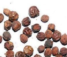 中药材中草药  功劳籽 功劳子 500克