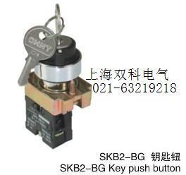 双科开孔22MM三档钥匙开关SKB2-BG33 三位置钥匙钮（两常开）