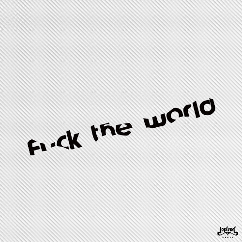 fu*ktheworld车贴前档