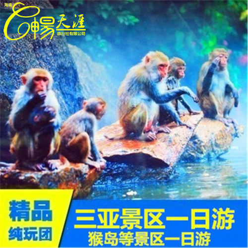 三亚景区跟团一日游南山/呀诺达/西岛/分界洲一日游2人起订