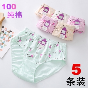 5条装 纯棉内裤女中老年宽松三角裤头棉质全棉中腰女妈妈奶奶女士