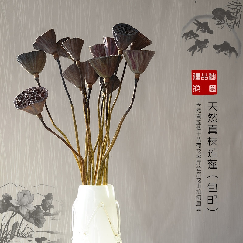 天然真莲蓬干花荷花佛系家居摆件装饰道具禅意风干莲藕落地插花