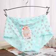 Slip Moyen-âge en coton - Ref 644667 Image 21