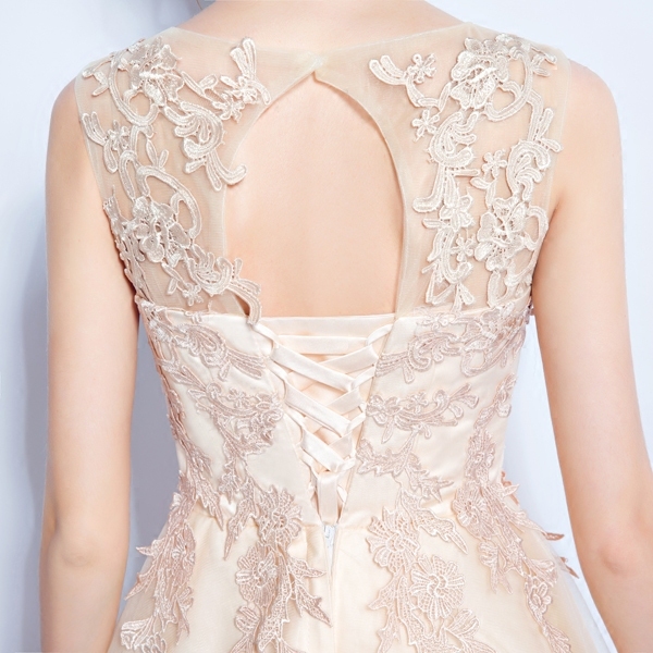 Champagne lace on the bridesmaid dress for the bride wedding dresses and the wedding dresses